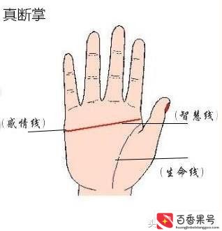 左手断掌纹的男人有什么说法