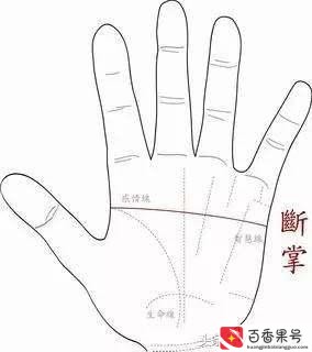 左手断掌纹的男人有什么说法