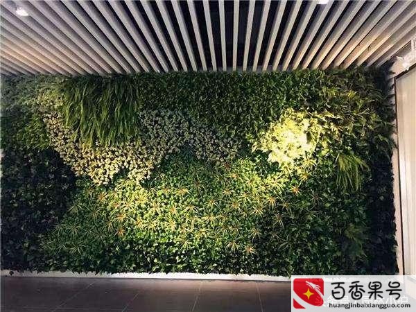 按风水家里千万不要养哪些花