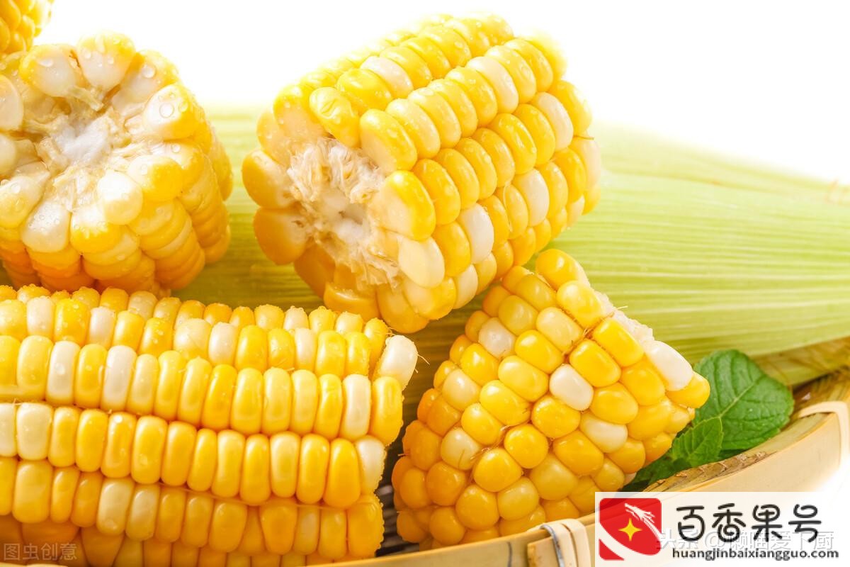 爆米花玉米和普通玉米的区别