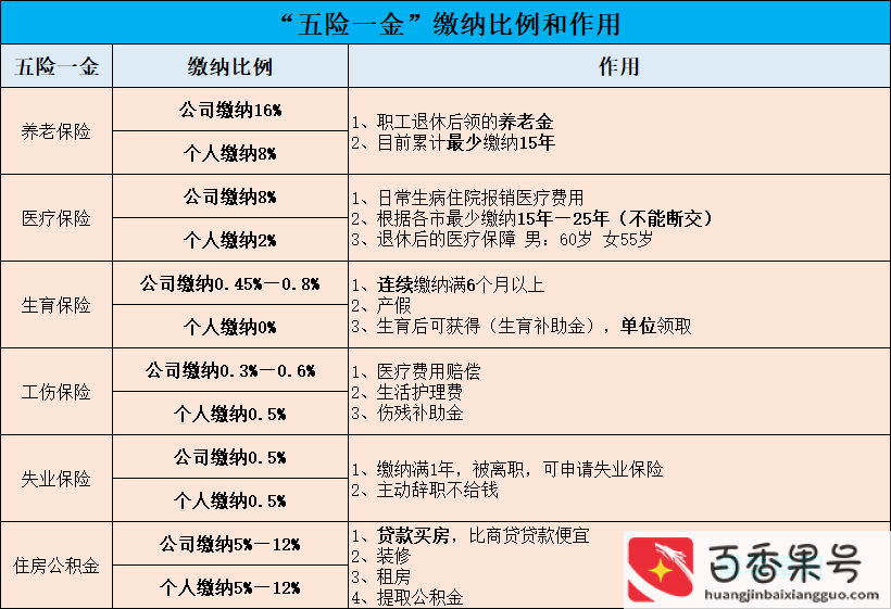 公司交五险一金怎么交的
