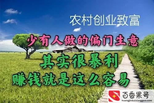 新型偏门暴利行业