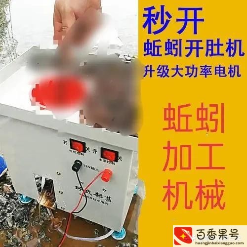 新型偏门暴利行业