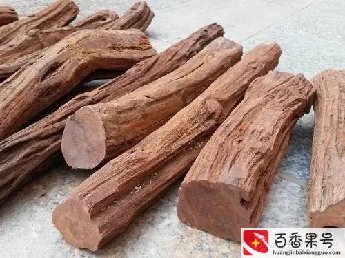 新型偏门暴利行业