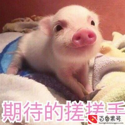 今年卖得最火的玩具