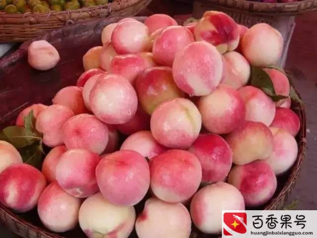 上海值得带回家的特产