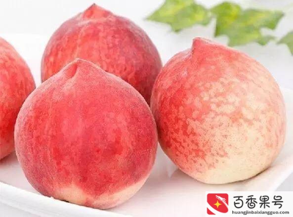 上海值得带回家的特产