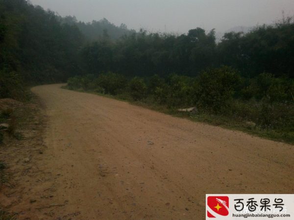 农村怎样才能致富
