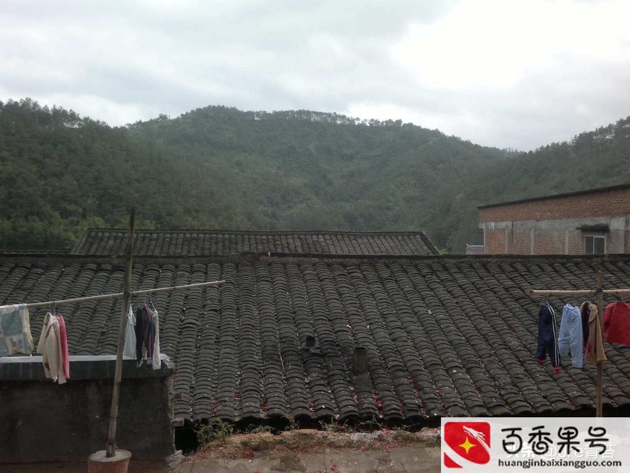 农村怎样才能致富