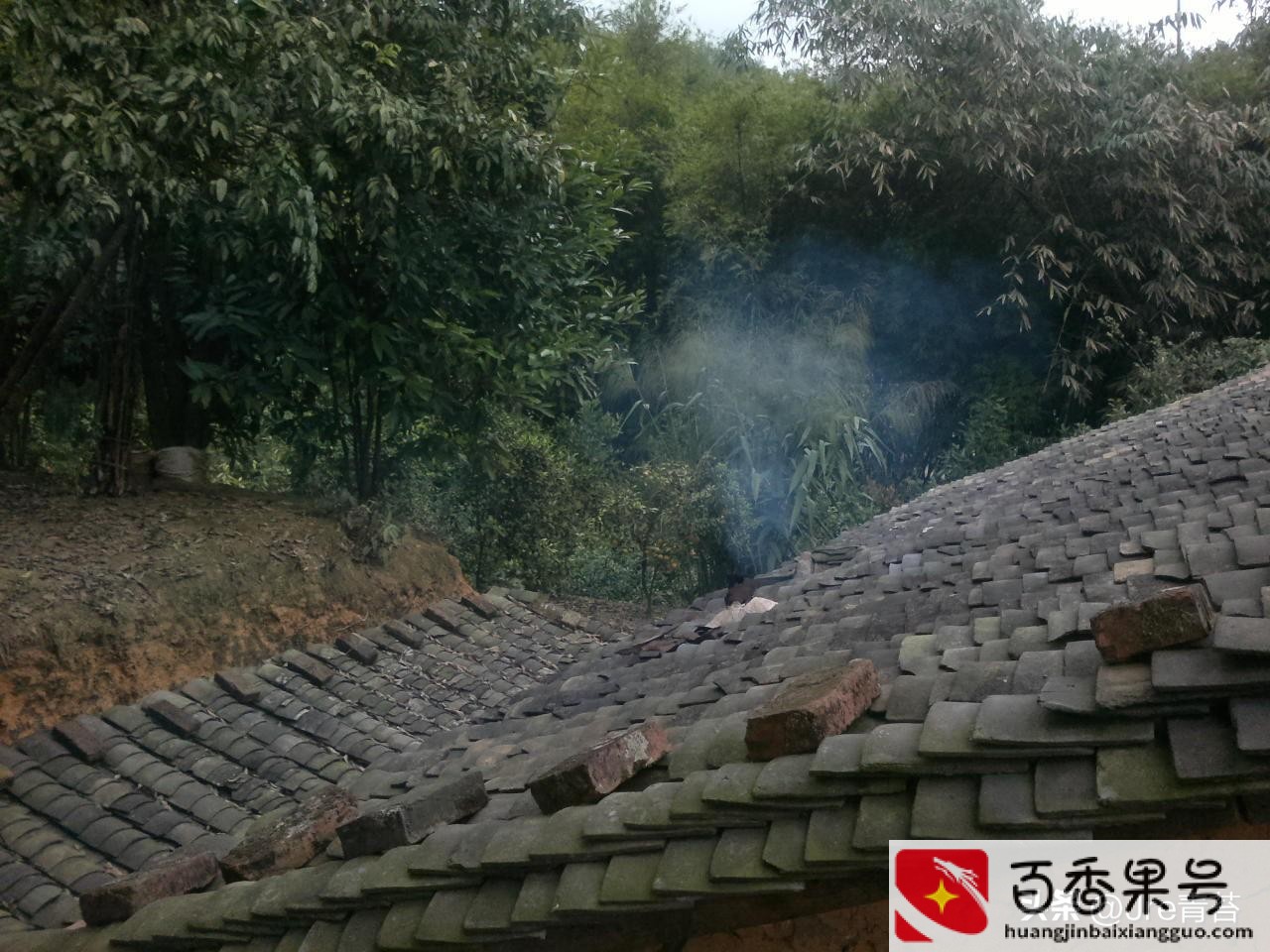 农村怎样才能致富