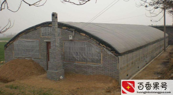 基本农田是否可以建蔬菜大棚
