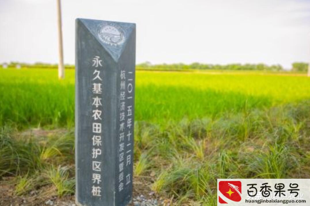 基本农田是否可以建蔬菜大棚