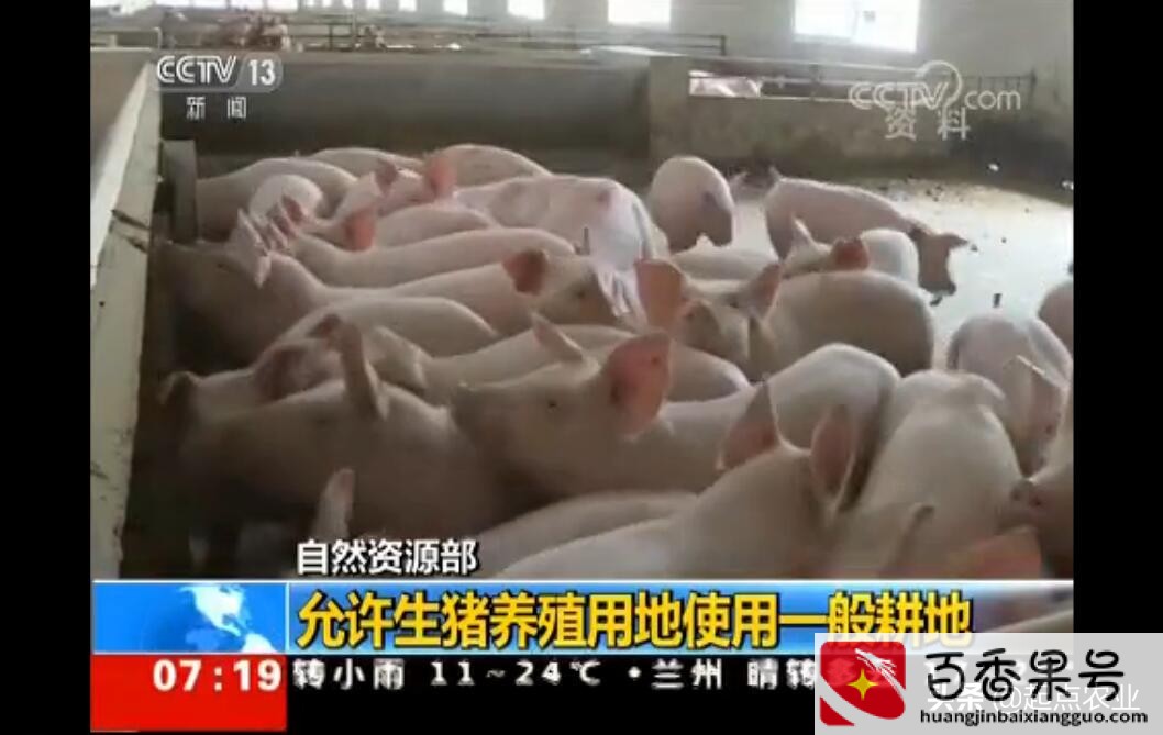 基本农田是否可以建蔬菜大棚