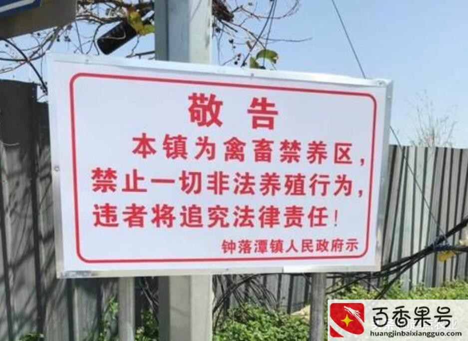 基本农田是否可以建蔬菜大棚