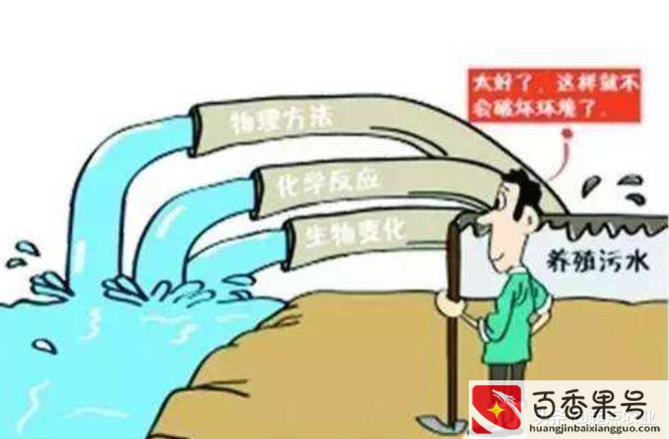 基本农田是否可以建蔬菜大棚
