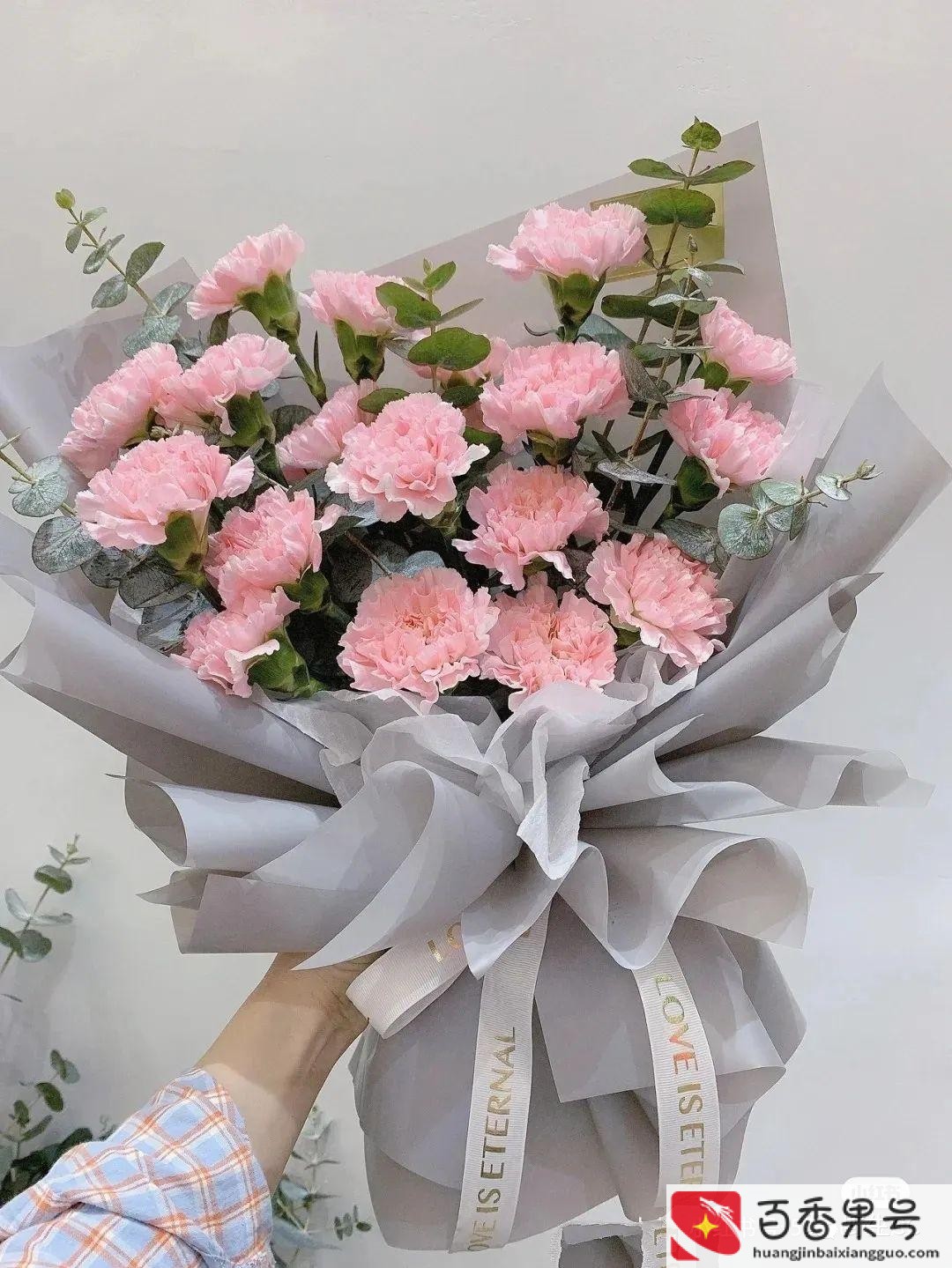 教师节应该送老师什么花合适