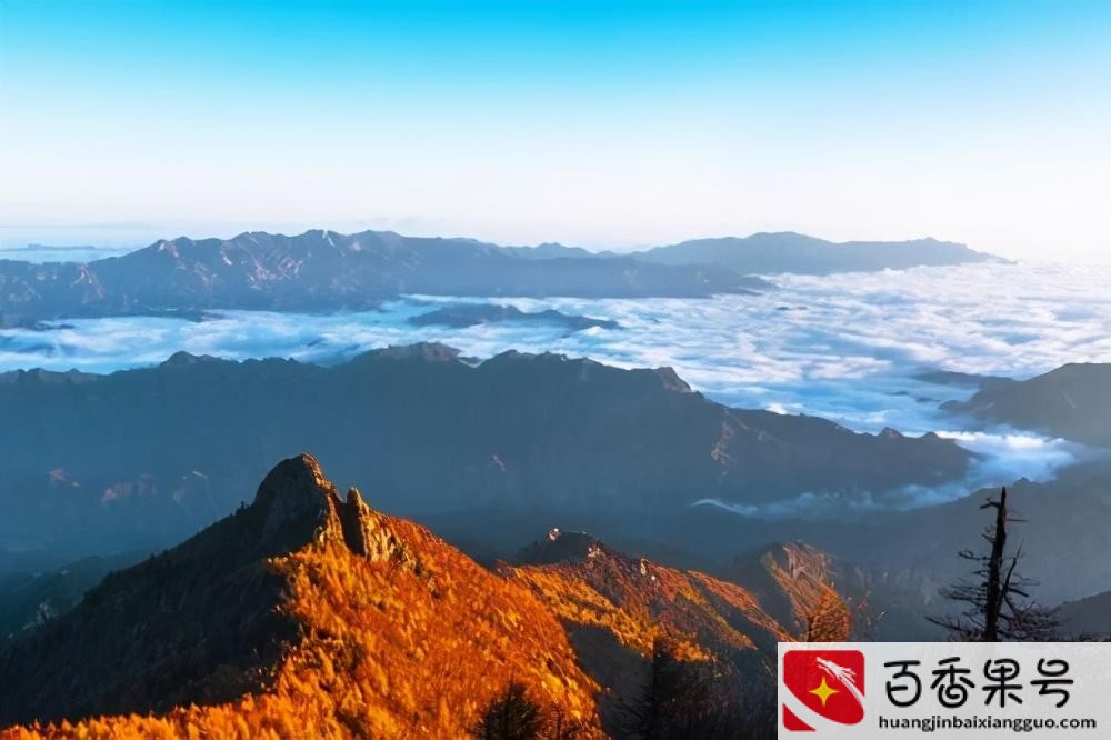 农夫山泉的水源地