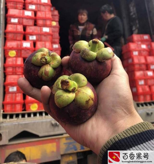 山竹水果多少钱一斤？山竹价格是多少钱一斤？
