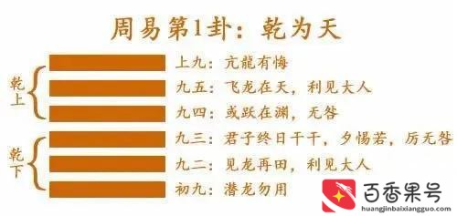对未来工作的规划和想法