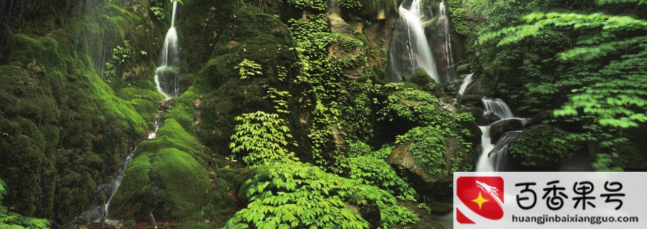 农夫山泉的水源地在哪里