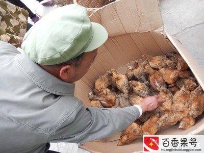 养鸡在哪里买鸡苗