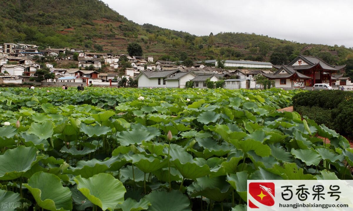 云南买房养老哪里最好