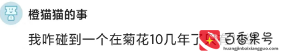 华为工资多少钱一个月