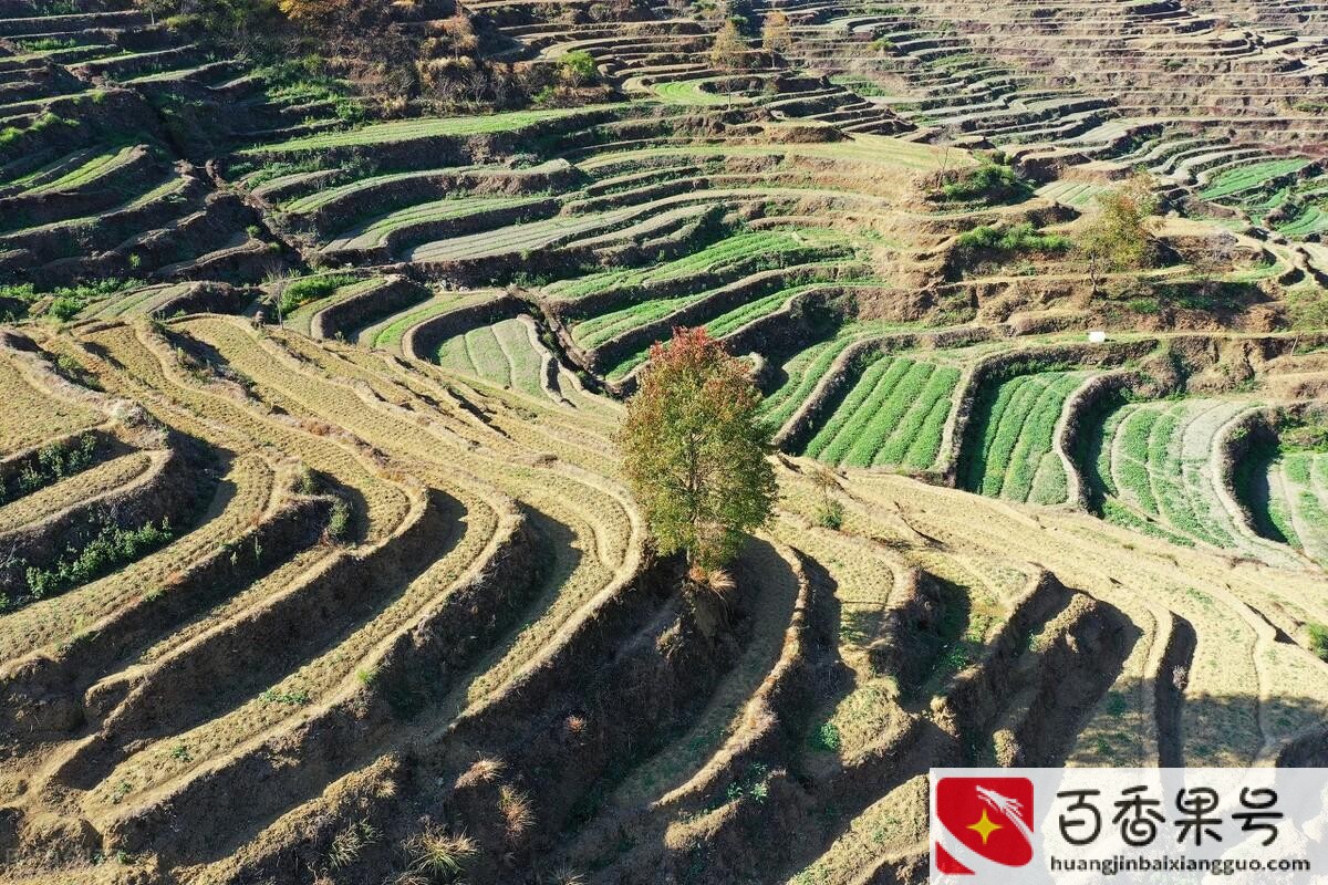 回老家创业适合做什么