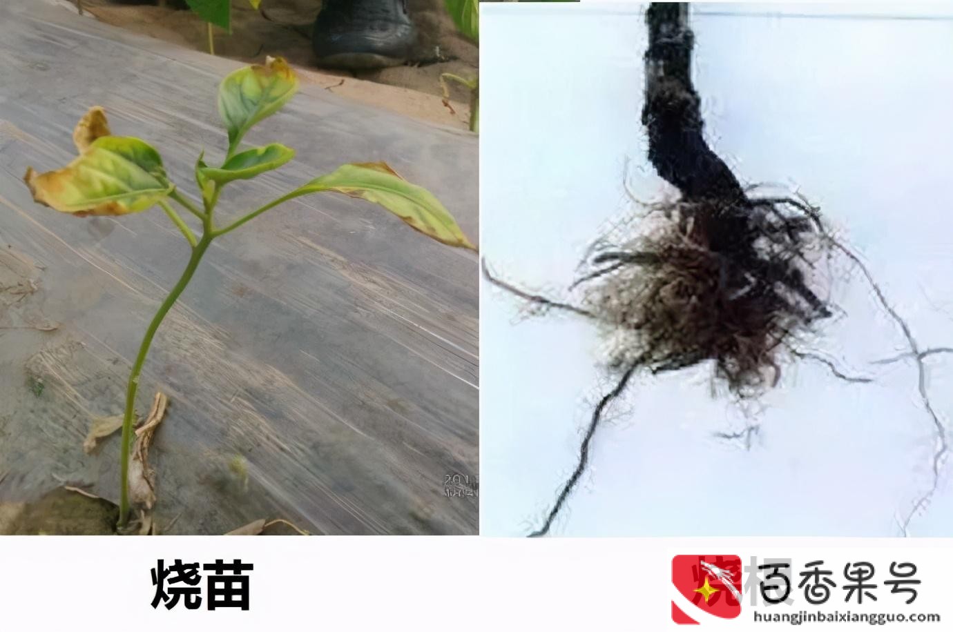 海水淡化成本多少一吨