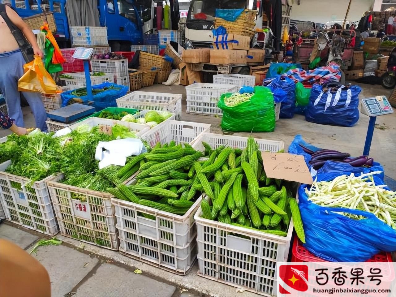 小生意做什么好起步
