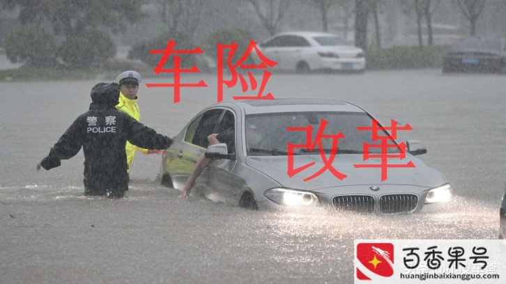 车损保险具体都包括什么