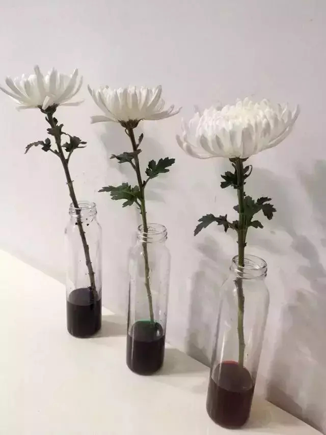 科技小制作大全最简单小学生
