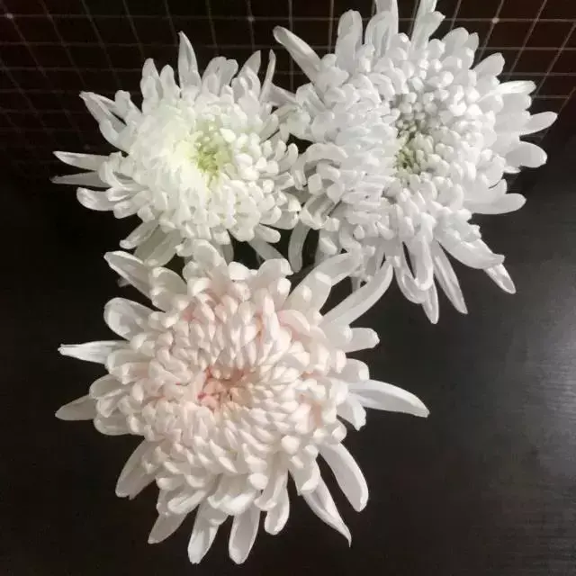 科技小制作大全最简单小学生