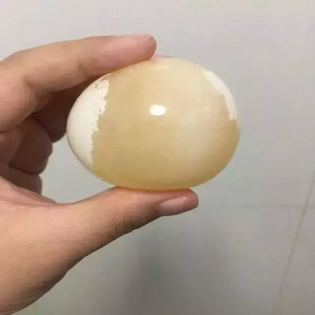 科技小制作大全最简单小学生
