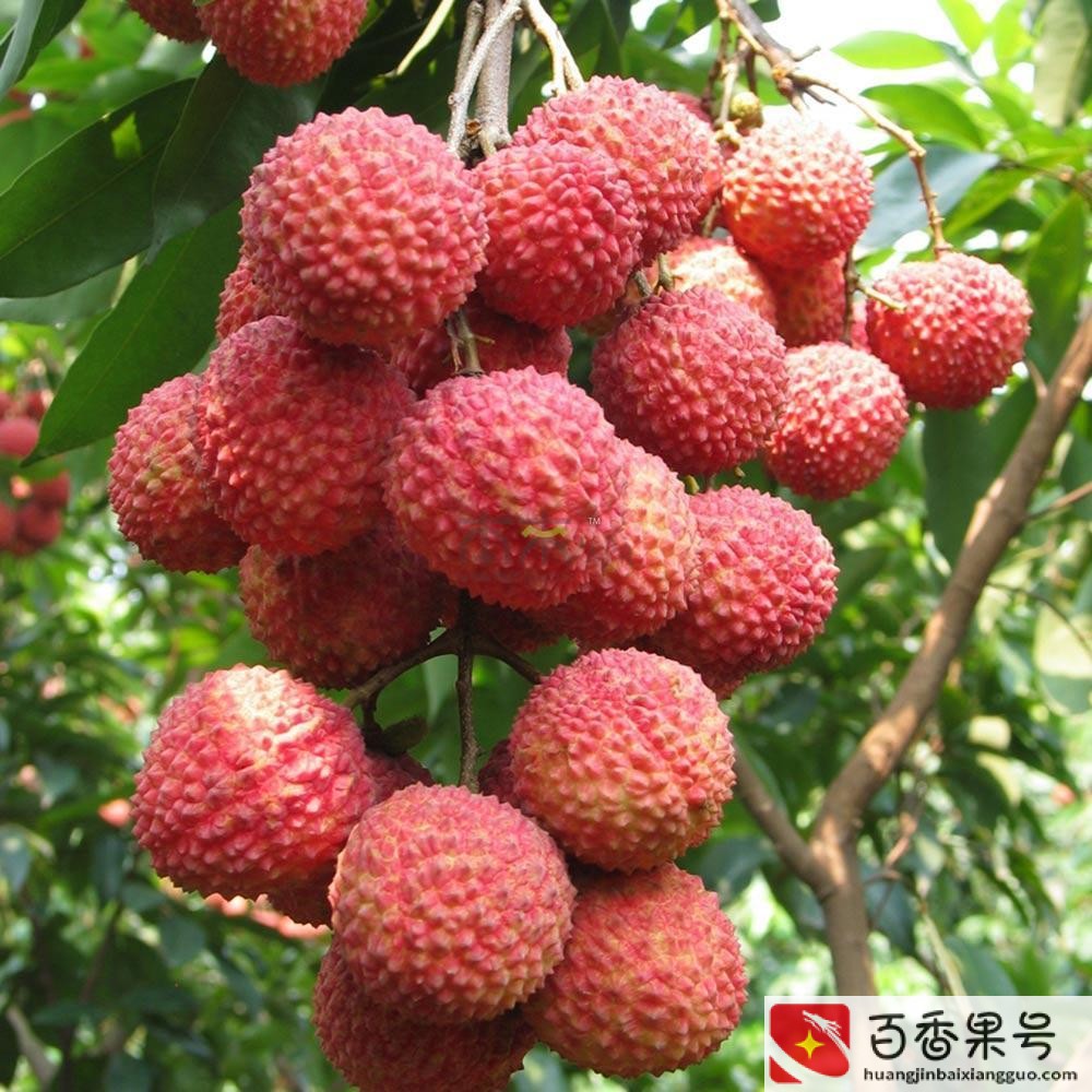 到深圳必买的十样东西