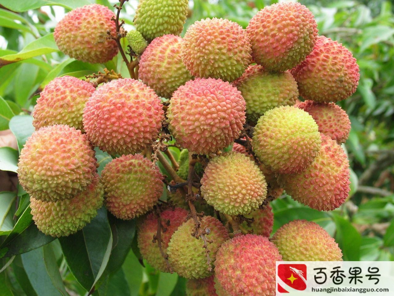 到深圳必买的十样东西