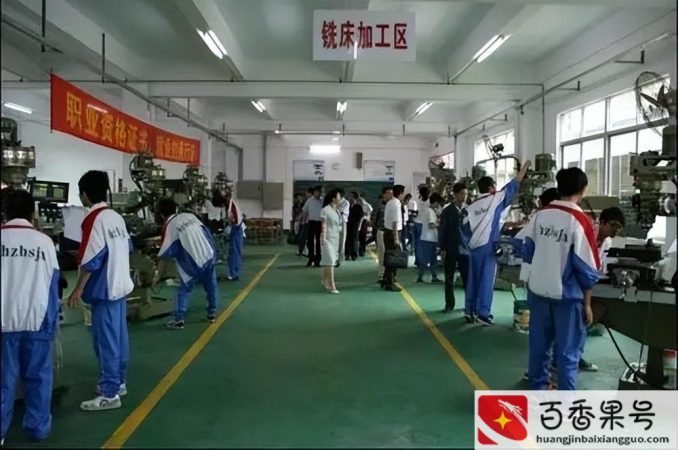 学什么技术比较有前途