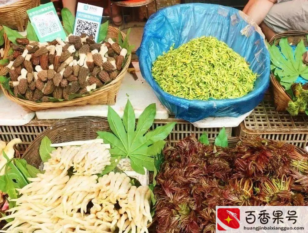 投资少又赚钱的小生意