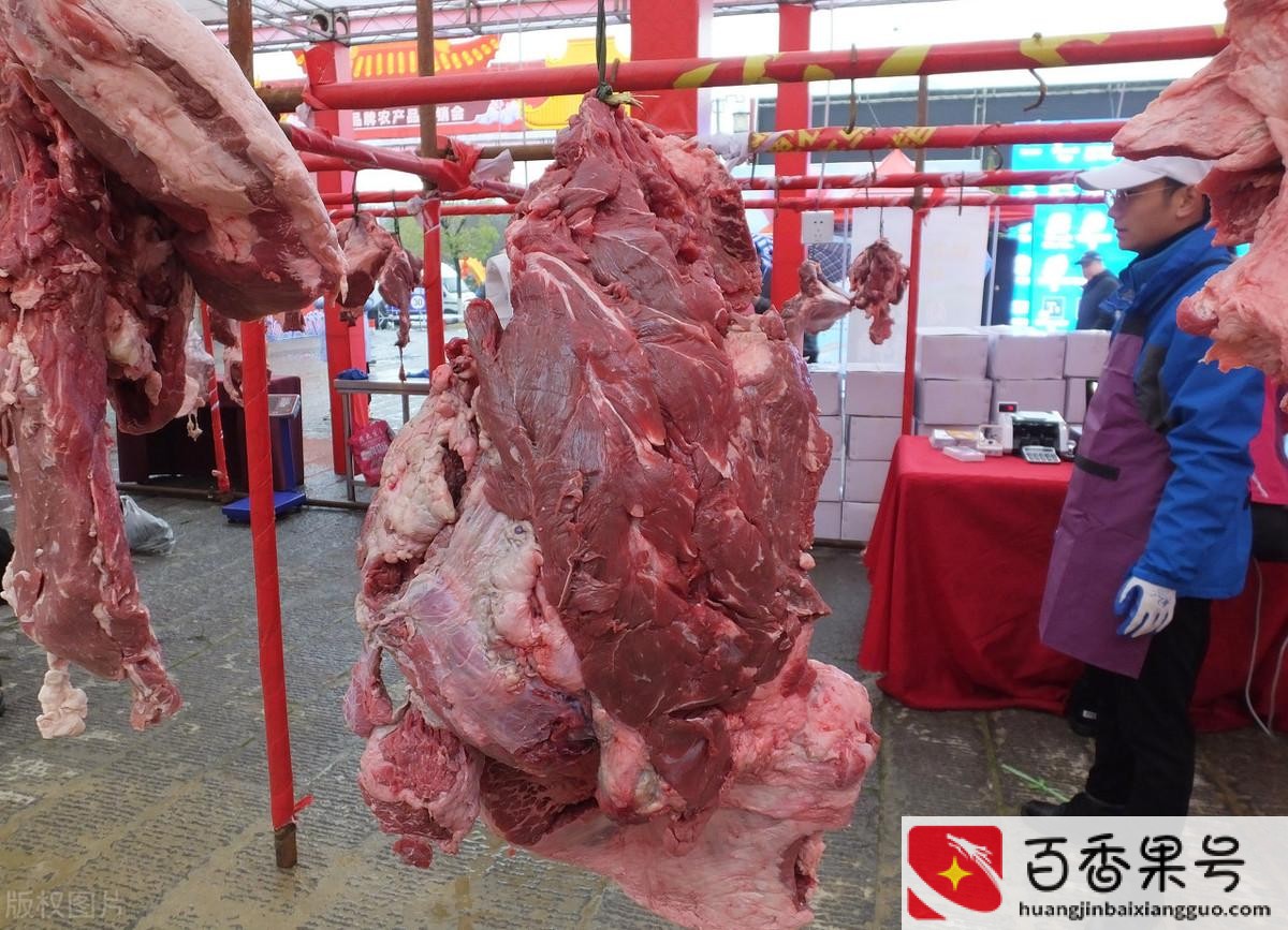 养一头牛的成本与利润