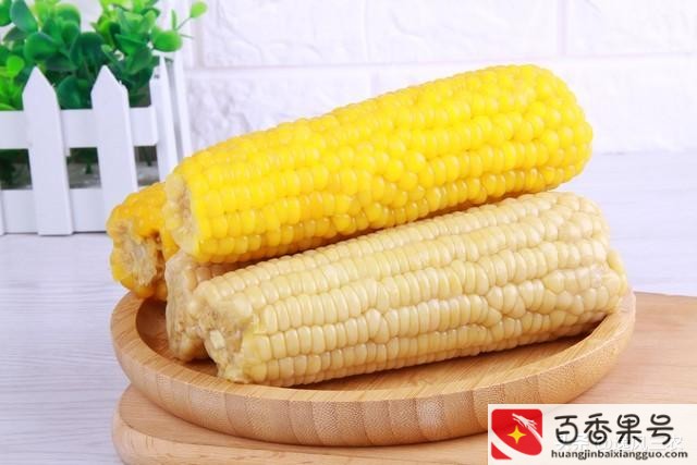 种植什么赚钱快不愁卖