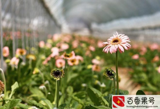 小花店一个月利润