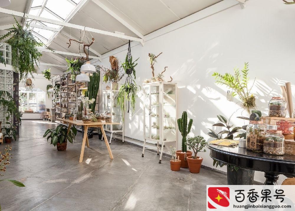 小花店一个月利润
