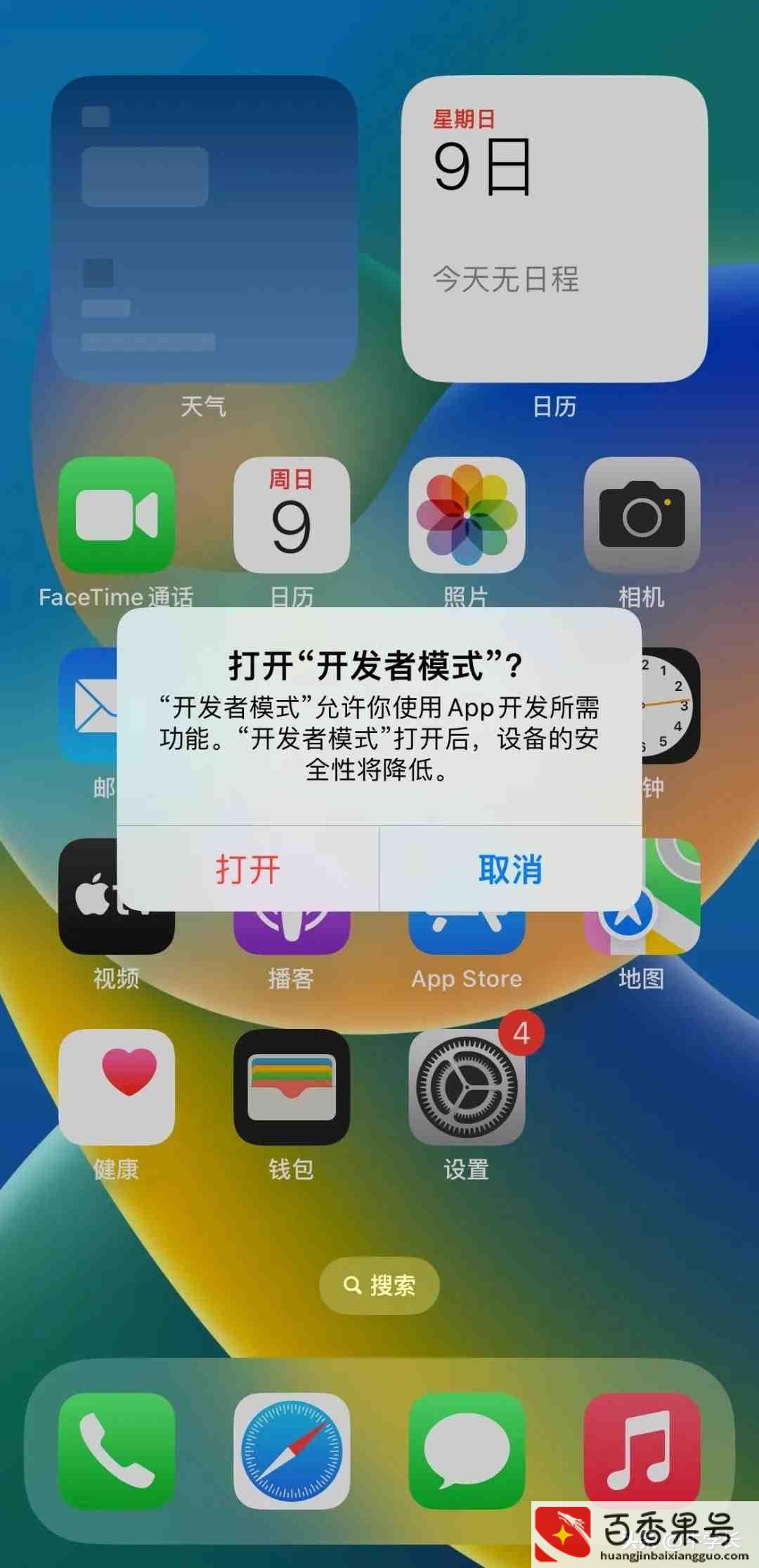 苹果开发者选项在哪里打开