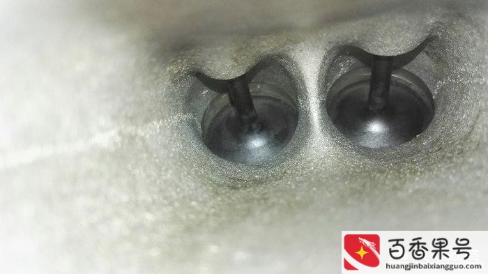 雅阁2.0和2.4哪个省油