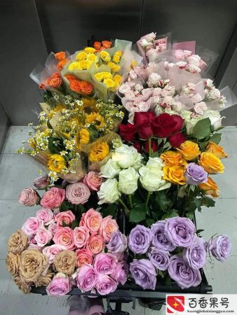 新型地摊暴利产品