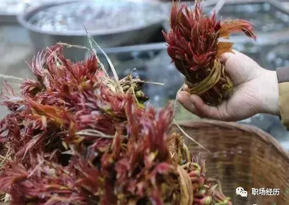 乡镇不起眼的暴利小生意