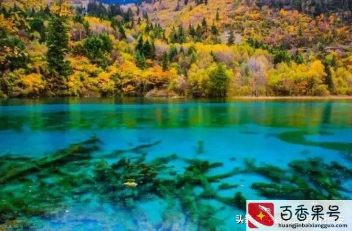在家里怎么赚钱？一个人在家做什么能挣钱？