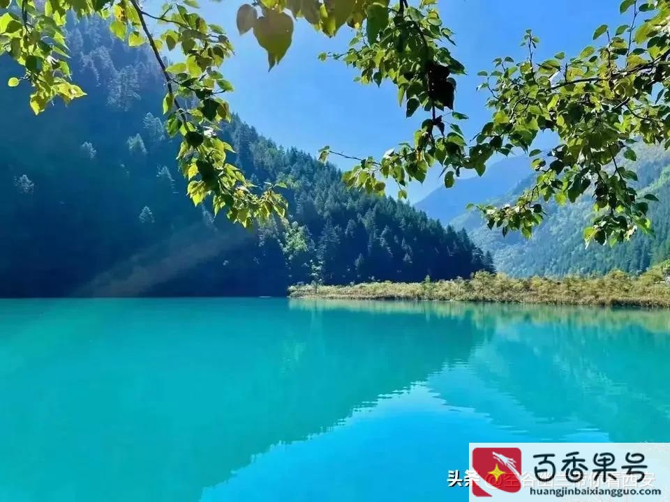 在家里怎么赚钱？一个人在家做什么能挣钱？