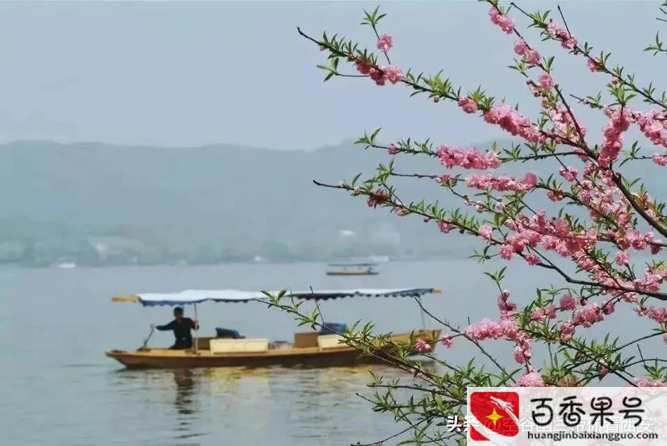 在家里怎么赚钱？一个人在家做什么能挣钱？