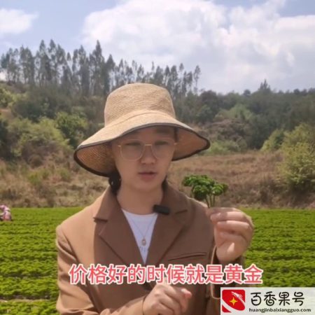 南方种植业什么前景最好赚钱